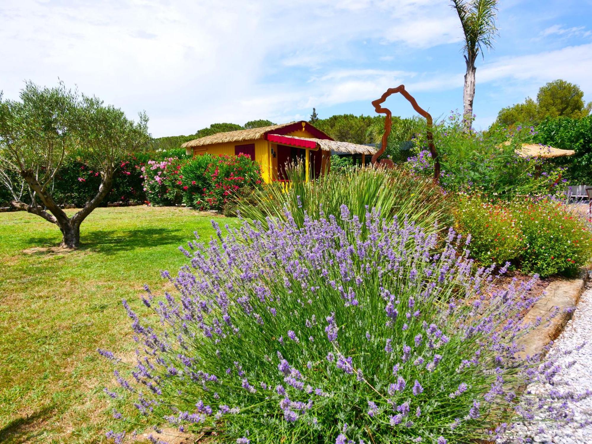 Chambre D'Hotes & Spa Mas Dels Esquirols Saint-Andre  Exterior photo